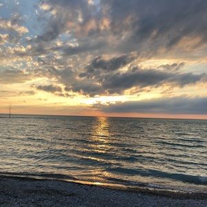 Meet your Posher, Maddy